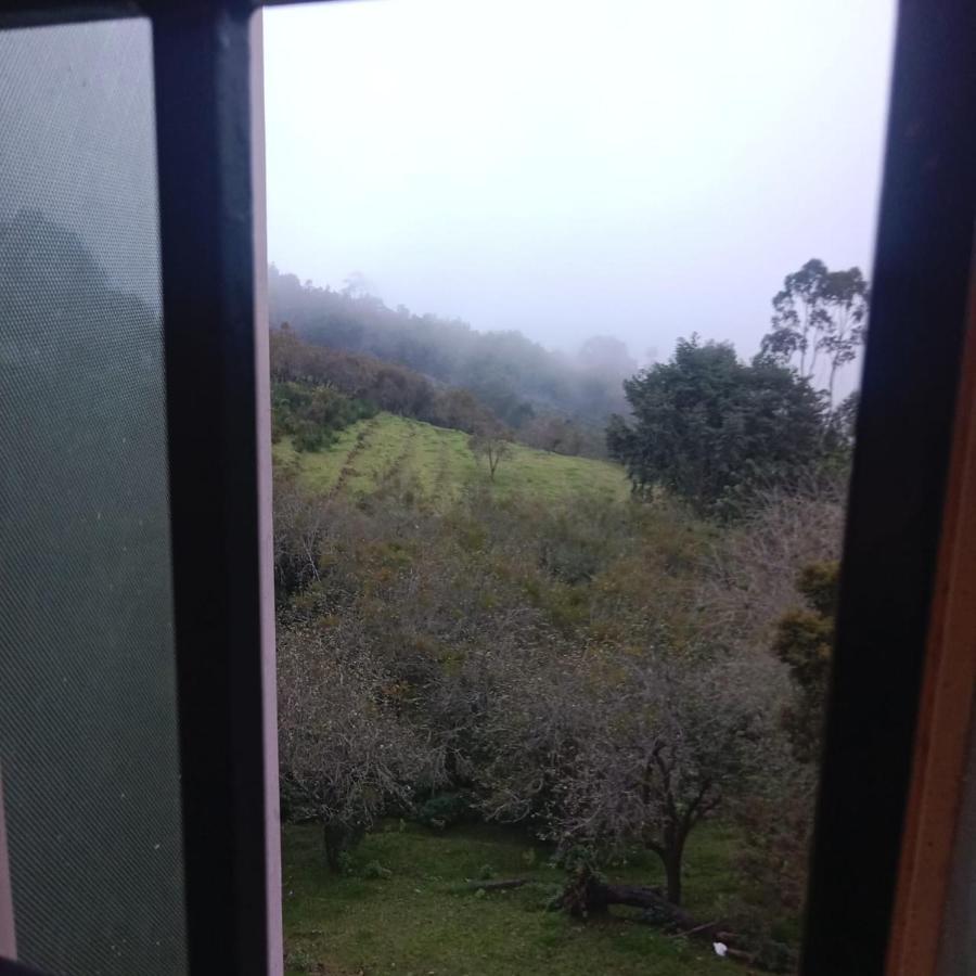 Olive Rooms Kodaikanal With Wifi, Spacious Rooms, Parking Zewnętrze zdjęcie